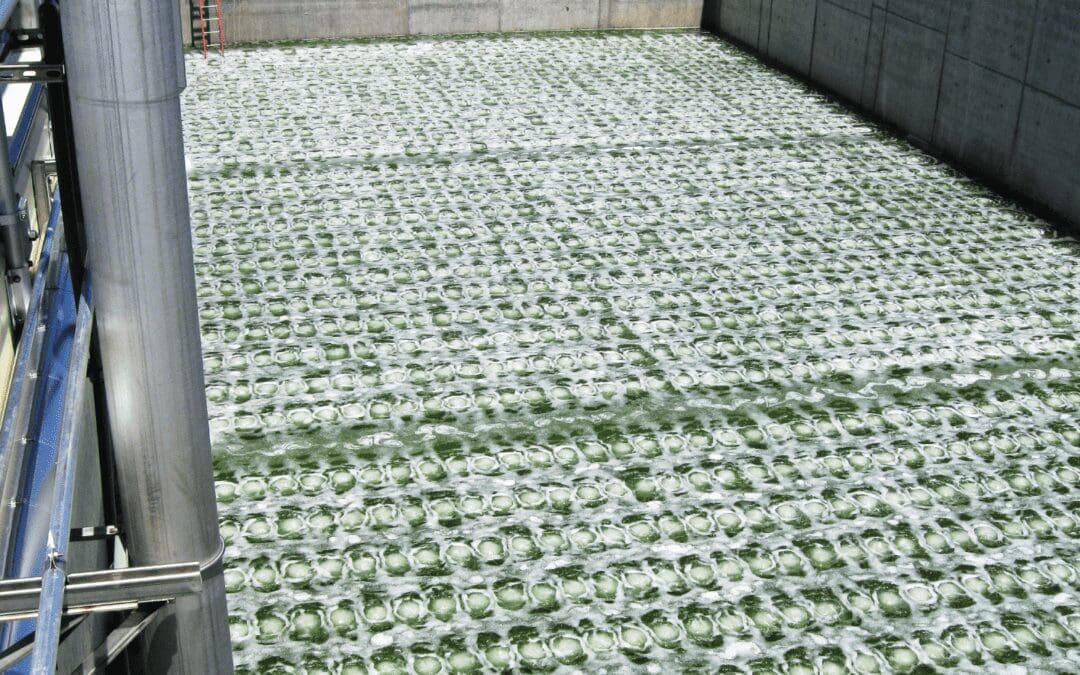 Fine Bubble Aeration